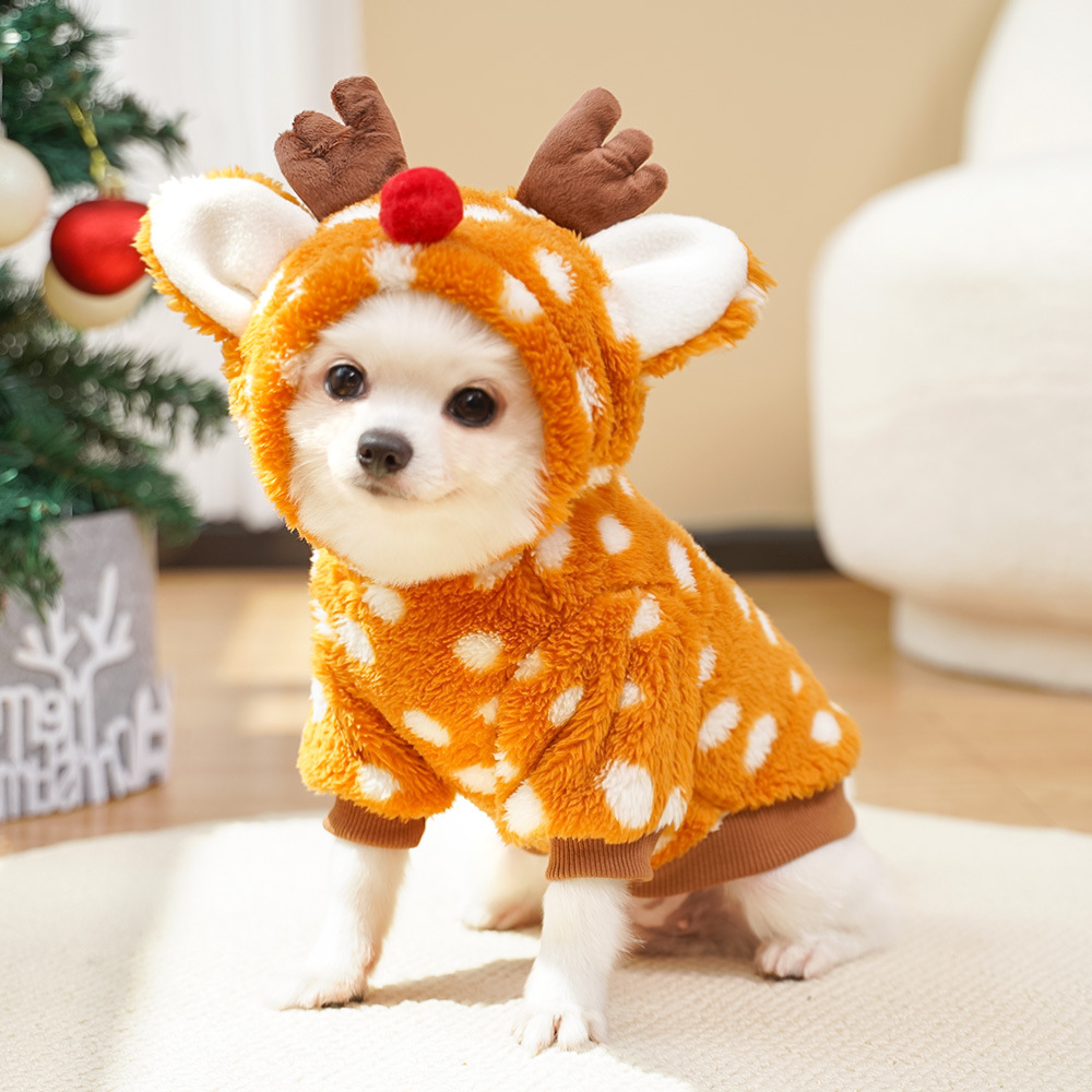 Roupa de Natal para Animais de - Winter Clothing Must Haves avaliação e preço